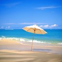 ���� ��������, ������������, 52 ���� - ��������� 6 ������� 2011