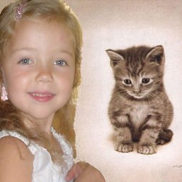 �������, �������, 49 ���