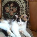 ���� �����, ���������, 64 ���� - ��������� 30 ����� 2013 � ������ ���� ����������