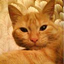 ���� �����, ��������� - ��������� 3 ������ 2011 � ������ ���� ����������