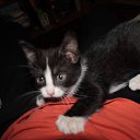 ���� ����, ����, 34 ���� - ��������� 21 ������� 2012 � ������ �������