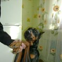 ���� Renat, ������, 47 ��� - ��������� 1 ����� 2012 � ������ �123�
