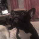 ���� �����, �������, 57 ��� - ��������� 15 ����� 2012 � ������ ���� ����������