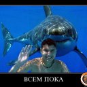 ���� ������ �����, ������, 48 ��� - ��������� 4 ���� 2010