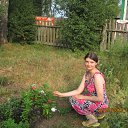 ���� ����, �������, 34 ���� - ��������� 31 ����� 2012