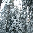  Serzh Van Der Maaremaan,  -  1  2009    