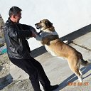 ���� Dias, �����, 49 ��� - ��������� 31 ����� 2012