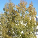 ���� �����, ����� - ��������� 25 ��� 2011 � ������ ����� �� ���� �����