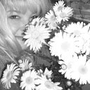 ���� �������, ������, 50 ��� - ��������� 24 ���� 2012 � ������ ���� ����������