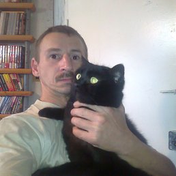 �������, �����-���������, 56 ���