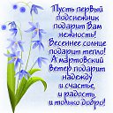 ���� ��������, �������, 50 ��� - ��������� 1 ����� 2013 � ������ ���� ����������