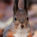 ���� Natali, ������ - ��������� 26 ������ 2012 � ������ �������