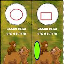 ���� �������, �����, 46 ��� - ��������� 5 ������ 2010 � ������ ���������