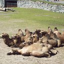 ���� ������, �����-���������, 60 ��� - ��������� 27 ������� 2009 � ������ �������� 2009�