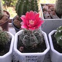 ���� ������, �������, 64 ���� - ��������� 26 ���� 2011 � ������ �����Ȼ