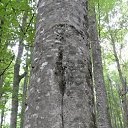 ���� �������, �����-��������� - ��������� 8 ������� 2011 � ������ ������ �� ������� ���� 2011�.�