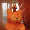  , -, 56  -  11  2009    