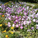 ���� ��������, ������� - ��������� 2 ������� 2012 � ������ �������