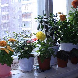 ���� �����, ������ ��������, 59 ��� - ��������� 2 ������ 2012