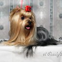 ���� �����, ������������, 48 ��� - ��������� 28 ������ 2011