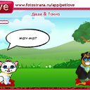  , , 34  -  23  2010   PetLove