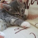 ���� ������, ������, 45 ��� - ��������� 23 ������� 2011 � ������ ���