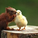 ���� �����, �����, 52 ���� - ��������� 12 ������ 2010 � ������ ���������