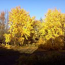 ���� �����, �����-��������� - ��������� 28 ������� 2012 � ������ ���� ����������