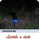 ���� �������, ������ - ��������� 29 ������� 2009 � ������ �������