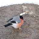 ���� ��������, ������ - ��������� 11 �������� 2011 � ������ �������� ����˨���