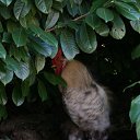  , , 47  -  7  2010   - 2010