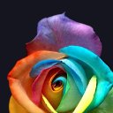 ���� ���� ������ ����, ���� - ��������� 18 ��� 2010 � ������ �������