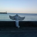 ���� �������, ��������, 62 ���� - ��������� 27 ������ 2012 � ������ ���� ����������