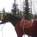 ���� ��������, ������� ����� - ��������� 26 ���� 2013 � ������ ���� ����������