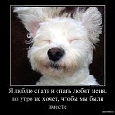 ���� ����������, ����������, 53 ���� - ��������� 19 ������� 2012 � ������ �������