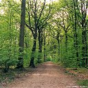 ���� �������, ��������, 57 ��� - ��������� 1 ��� 2010 � ������ ������� ��������