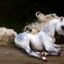 ���� Jeon Davon, ������ - ��������� 30 ��� 2012 � ������ �����������