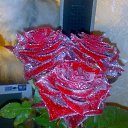 ���� ��������, ������ - ��������� 23 ������� 2010 � ������ �������