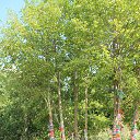 ���� �����, ��������� - ��������� 26 ��� 2013 � ������ ���� ����������