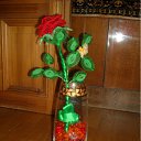 ���� ������, ��������, 40 ��� - ��������� 29 ������ 2012