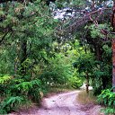 ������������� ����. �� ������� ���� �������.�