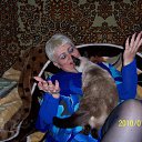 ���� �������, ��������-��-������, 67 ��� - ��������� 21 ���� 2013 � ������ ���� ����������