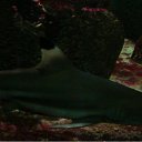 ���� ������, ���������, 50 ��� - ��������� 8 ���� 2010 � ������ �����