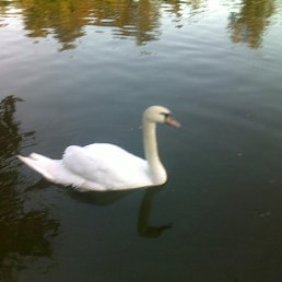 ���� Uljka, ���������, 51 ��� - ��������� 10 �������� 2010