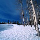 ���� �����, ����� - ��������� 29 ������ 2013 � ������ ���ѻ