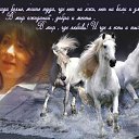 ���� �������, ������, 50 ��� - ��������� 9 ������� 2012 � ������ ���� ����������