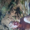 ���� ����, ����-�����������, 48 ��� - ��������� 5 ������ 2012 � ������ ���� ����������