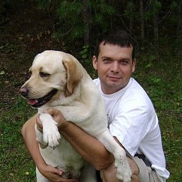 ���������, ������������, 52 ����