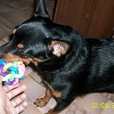 ���� �������, ���������, 52 ���� - ��������� 5 ���� 2013 � ������ ����� ��� ������������