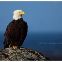 ���� �������, ������, 50 ��� - ��������� 21 ����� 2010 � ������ ������� ��������